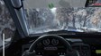 DiRT Rally - dirt-rally-7.jpg